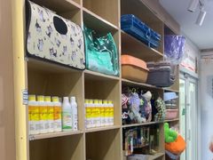 -天使宠物医院·犬猫分诊(彩虹店)