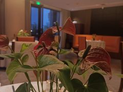 -徐州绿地皇冠假日酒店-汉宫中餐厅