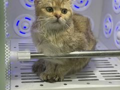 -它主义宠物(梁溪万达店)