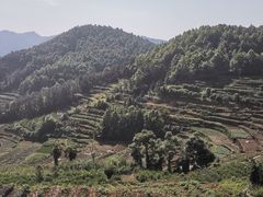 -乌石村