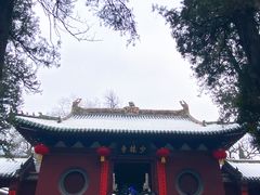 -少林寺欢喜地素斋馆