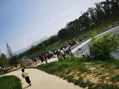 -洨河生态公园