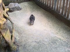 -呀诺达热带雨林