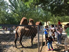 -长白岛森林公园