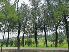 -东郊湿地公园