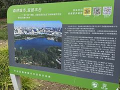 -绿堤公园