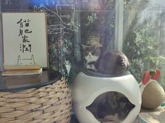 -羊咖啡(大理古城五华楼店)
