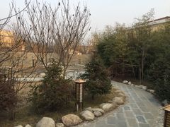 -华山御温泉度假村