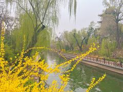 -迎泽公园