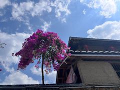 -福建土楼(南靖)景区