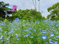 -上海滨江森林公园