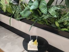 -巴黎春天(浦建店)