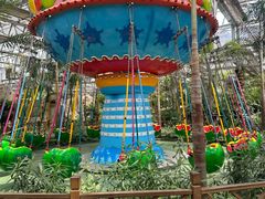 -南宫五洲植物乐园