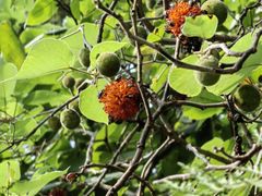 -北京西山国家森林公园