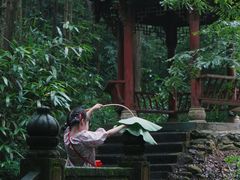 -凤栖山