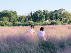 -映月湖中央公园