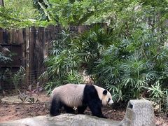 -深圳野生动物园