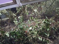 -上海昆虫博物馆