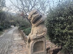 -雨花胜境