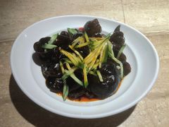 -佬肥猫(七宝宝龙店)