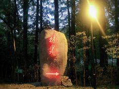-东航云逸酒店(九溪烟树店)