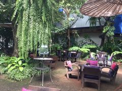 -Fern Forest Cafe