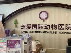-宠爱国际动物医院·消化内科·心肾内科·ISFM猫友好(望京店)