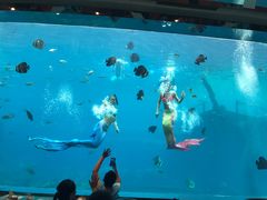 -瑞德姆美人鱼海底演艺主题餐厅(亚龙湾店)