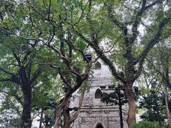 -江心屿景区
