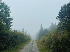 -武陵山森林公园