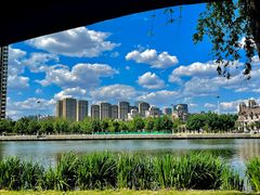 -长白岛森林公园