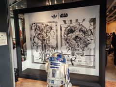 -涩谷全向十字路口