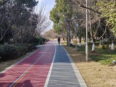 -澹台湖公园