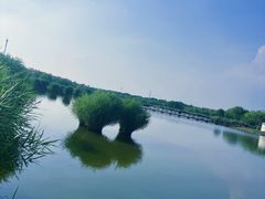 -西青郊野公园