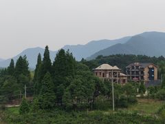-中国扬子鳄村