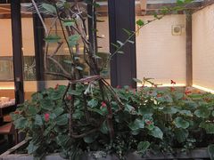 -大妙火锅·非物质文化遗产(东湖公园店)