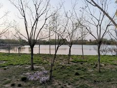-东郊湿地公园