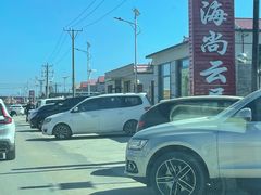 -仙人岛