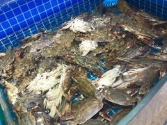 水产区-乔哥铭洋海鲜自助(皇城恒隆广场店)