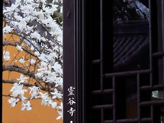 -灵谷景区