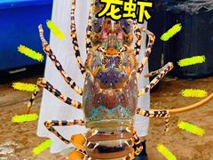 -双天海鲜楼 · 43年老字号