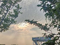 -嘉北郊野公园