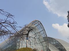 -南山植物园