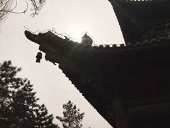 -张掖大佛寺景区