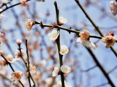 -敬亭山风景名胜区