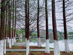 -月湖风景区