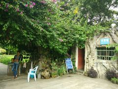 -瑞丽独树成林风景区