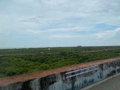 -北海金海湾红树林生态旅游区