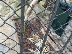 -大连森林动物园