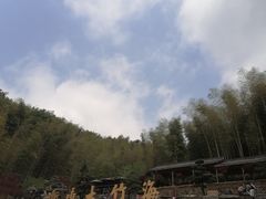 -宁波浙东大竹海景区